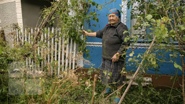 Как в Молдове отметили Международный день сельских женщин (ФОТОРЕПОРТАЖ)