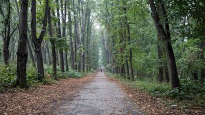 Осень вступает в свои права: синоптики обещают первые заморозки в Молдове уже на этой неделе