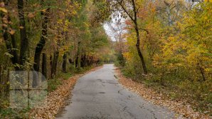 Неслышные шаги осени: прогноз погоды на 9 сентября