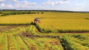 Долги по выплатам субсидий перед фермерами в этом году достигли рекордной суммы