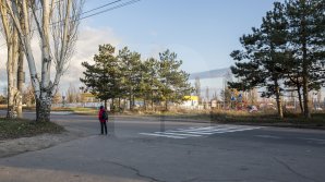 По вине пешеходов с начала года произошло почти 300 аварий