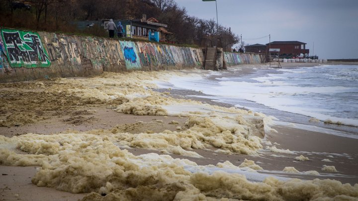 Пляжи в Одессе покрылись густой пеной (ФОТО, ВИДЕО)