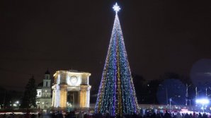 Праздник к нам приходит: в столице зажгли огни на главной елке страны