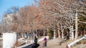 Погода на 13 февраля 2020