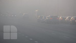 Осторожно, туман: синоптики объявили желтый уровень погодной опасности