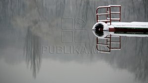 В воду при любой погоде: жители Берлина и Сиднея отметили Рождество традиционными купаниями