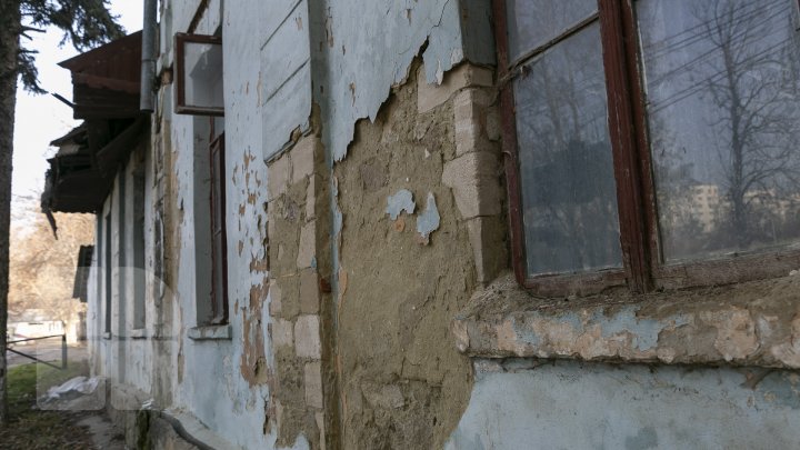 Конная школа рушится на глазах: на ремонт нужны два миллиона леев