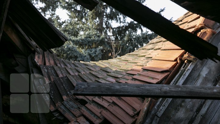 Конная школа рушится на глазах: на ремонт нужны два миллиона леев