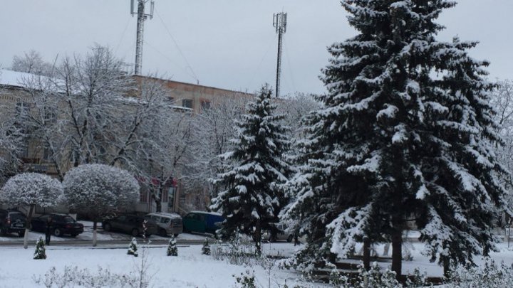 Зимняя сказка в Фалештах: город накрыло белым одеялом (ФОТО)