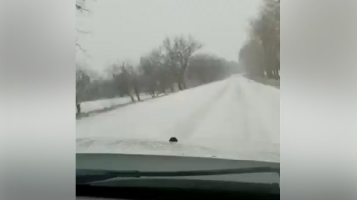 Снег перед Новым годом на севере и в центре страны: местные жители делятся ФОТО в социальных сетях