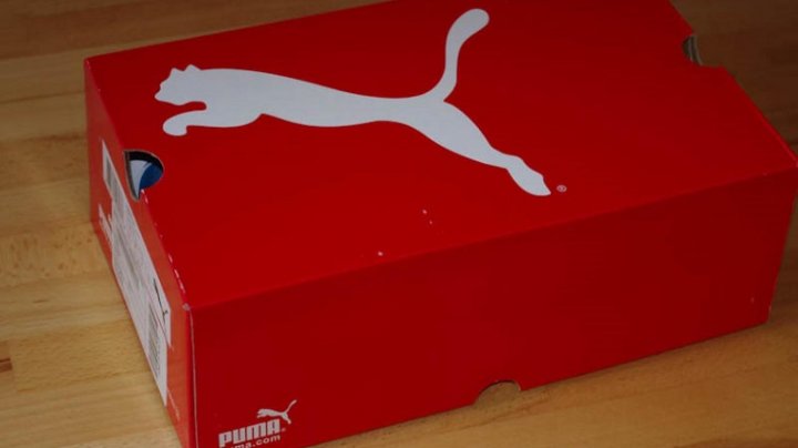 Немецкая компания Puma проиграла в молдавском суде 