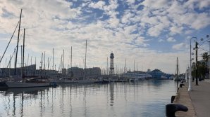 Мэр Барселоны попросила объявить часть города зоной катастрофы