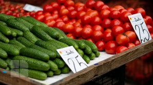 Россия продлила срок беспошлинного ввоза для некоторых категорий молдавских товаров