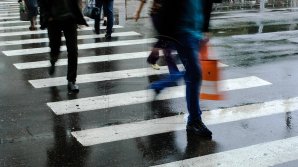 Миграционный профиль Молдовы: в 2018 году за границей работали свыше 350 тысяч граждан республики