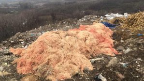 Экологическая проблема в Грэтиештах: тонны мусора свалены на окраине села (ВИДЕО)