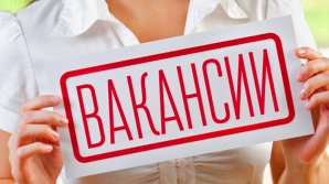 Можно хорошо заработать: озвучен список высокооплачиваемых вакансий в Молдове