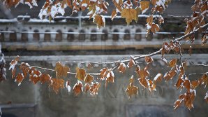 Жителям Молдовы предрекают похолодание и снег: прогноз погоды на ближайшие дни