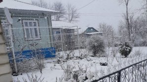 Запоздавшая зима: на севере Молдовы выпал снег (ВИДЕО)