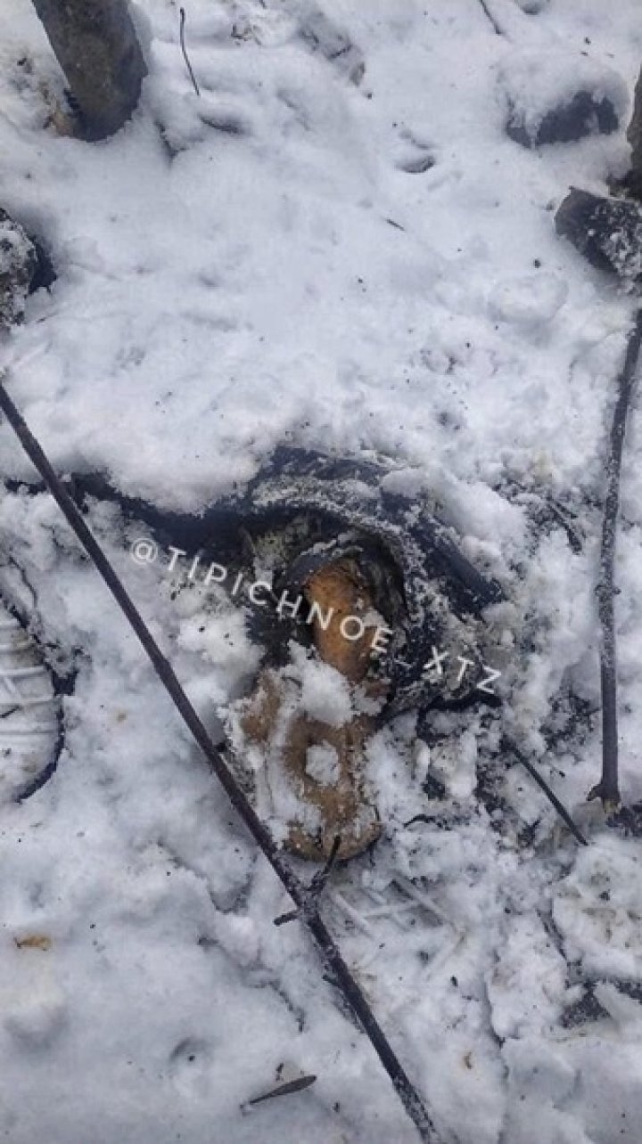 В Харькове на остановке общественного транспорта нашли человеческий скелет (ФОТО)