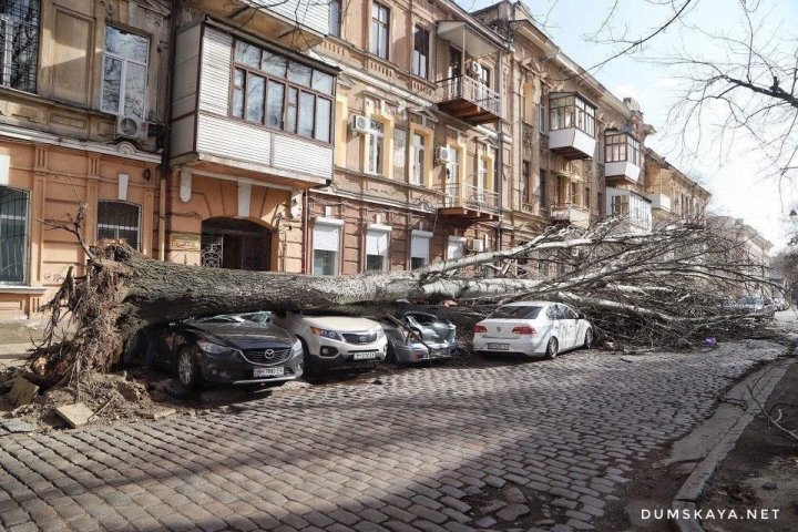 Ураган в Одессе: упавшее дерево насмерть придавило женщину, объездную дорогу захлестывают волны (ФОТО, ВИДЕО)