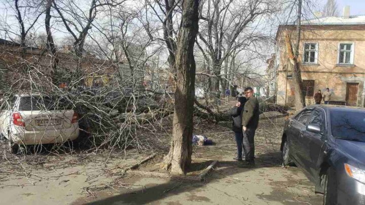 Ураган в Одессе: упавшее дерево насмерть придавило женщину, объездную дорогу захлестывают волны (ФОТО, ВИДЕО)