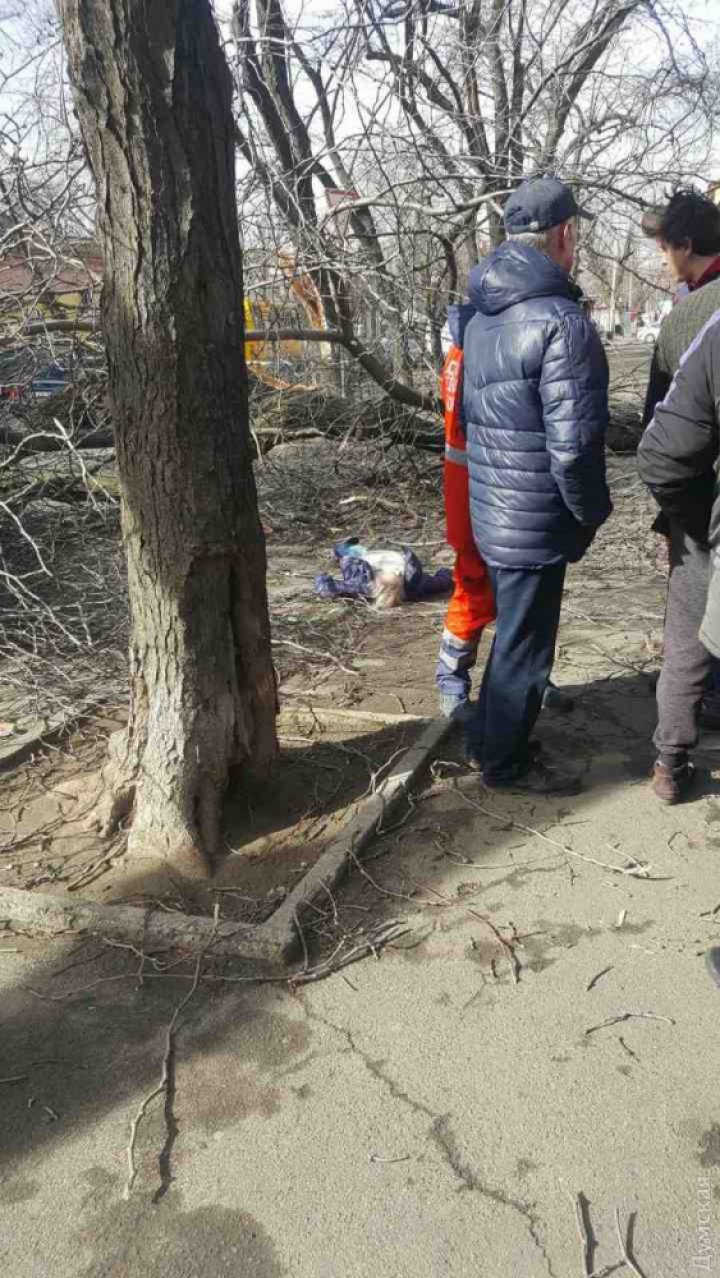 Ураган в Одессе: упавшее дерево насмерть придавило женщину, объездную дорогу захлестывают волны (ФОТО, ВИДЕО)