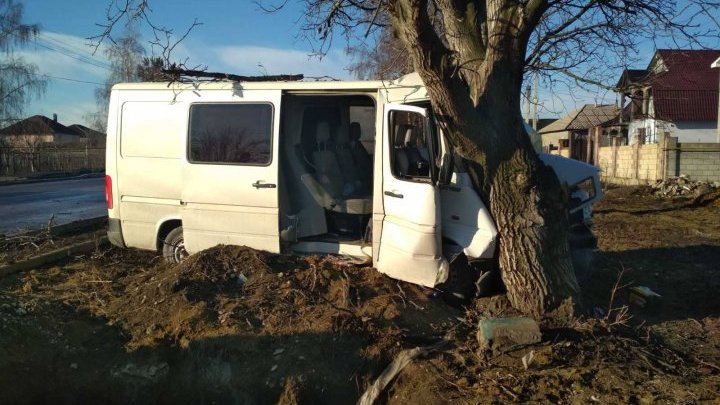 Микроавтобус врезался в дерево в Фалештском районе (ФОТО)