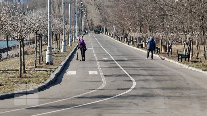 Чем подметают улицы столичные дворники (ФОТОГАЛЕРЕЯ)