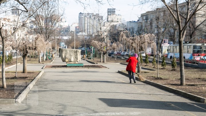 Чем подметают улицы столичные дворники (ФОТОГАЛЕРЕЯ)