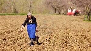 Фермеры бьют тревогу: в условиях ЧП они не могут купить семена и удобрения