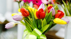 Президент и депутаты парламента поздравили женщин с 8 Марта