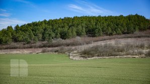 Прогноз погоды на 29 апреля: на юге страны ожидается до 27 градусов тепла