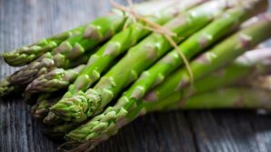 В этом году в Молдове ожидается хороший урожай спаржи: фермер из Молдовы рассказал о ее особенностях