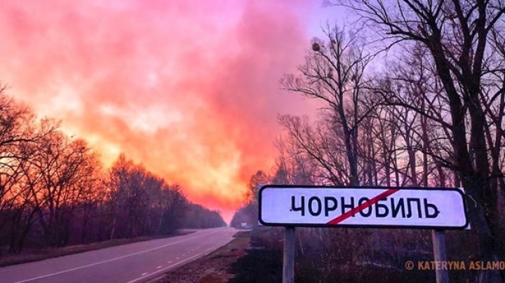 Ущерб от пожар в чернобыльской зоне оценили в десятки миллионов гривен 