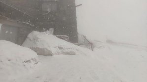 За неделю до лета украинские Карпаты засыпало снегом