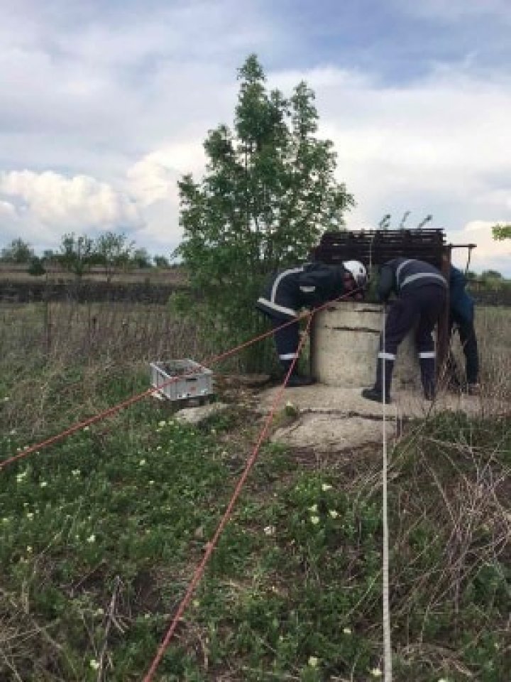 В колодце Ставчен найден труп женщины, пропавшей три года назад (ФОТО)