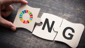 Закон о неправительственных организациях принят парламентом в окончательном чтении