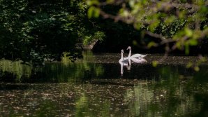 Прогноз погоды на 8 июня