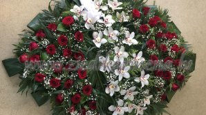 Похоронные венки у клиники бывшего социалиста и реакция Гацкана на нападки депутатов ПСРМ