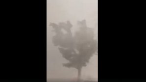 Бомбардировка градом в Румынии: на уезд Сэлаж обрушилась мощная буря