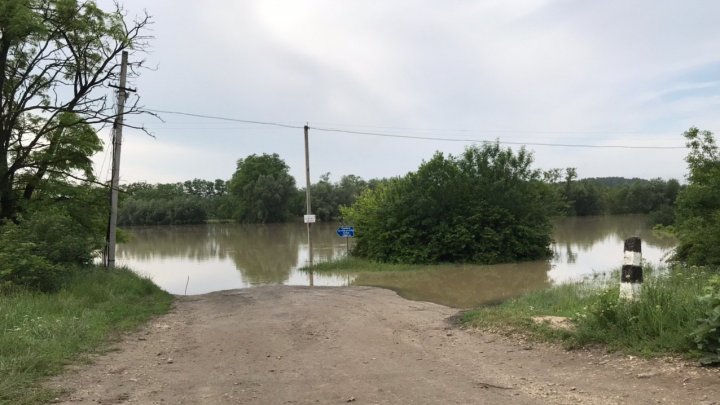 Напряженная ситуация на севере страны: в селе Крива уровень воды в реке Прут за ночь вырос на полметра