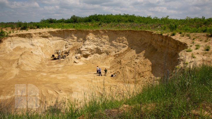 В Каларашском районе обнаружили останки доисторических носорогов (ФОТО)