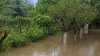 Вадул-луй-Водэ не узнать: многие хозяйства ушли под воду (ФОТО, ВИДЕО)