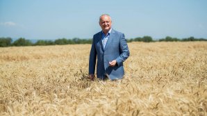 Додон о протестах аграриев: Блокирование дорог - не выход из положения