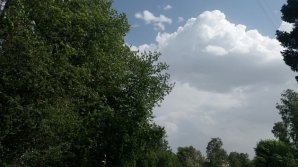 Прогноз погоды на 24 сентября 2020