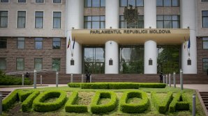 Коронавирус в парламенте: COVID-19 обнаружили у сотрудницы кабинета фракции ПДС