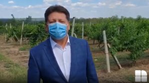 Штефан Гацкан дал о себе знать: "Меня никто не удерживает. Я с семьей" (ВИДЕО)