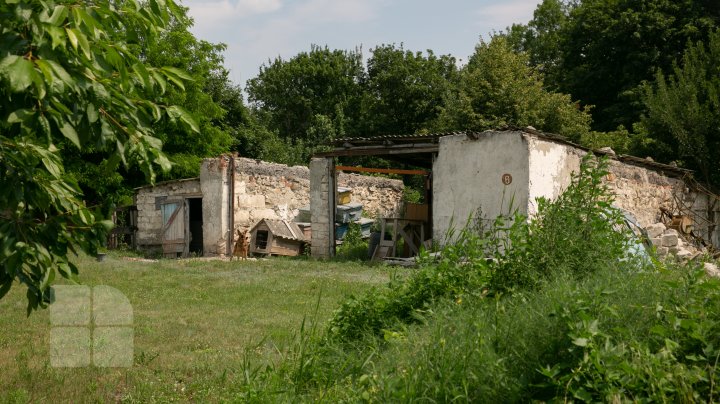 Постройки необычной формы в Унгенском районе: бывший стратегический пункт может привлечь туристов (FOTOREPORT)