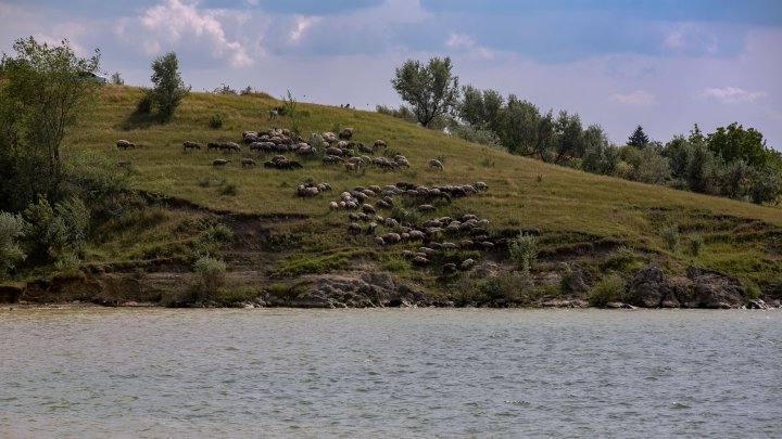 Молдаване нашли «море» на родине: где отдыхают наши сограждане в условиях закрытых границ (ФОТОРЕПОРТАЖ)