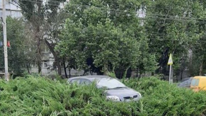 В Бельцах водитель нашел необычное место для парковки своего авто (ФОТО, ВИДЕО) 